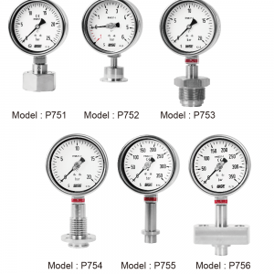 ĐỒNG HỒ ÁP SUẤT DẠNG MÀNG WISE MODEL P750