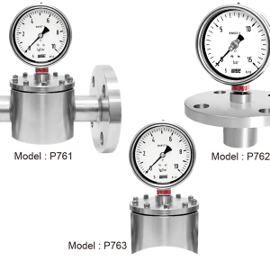 ĐỒNG HỒ ÁP SUẤT DẠNG MÀNG WISE MODEL P761, P762, P763